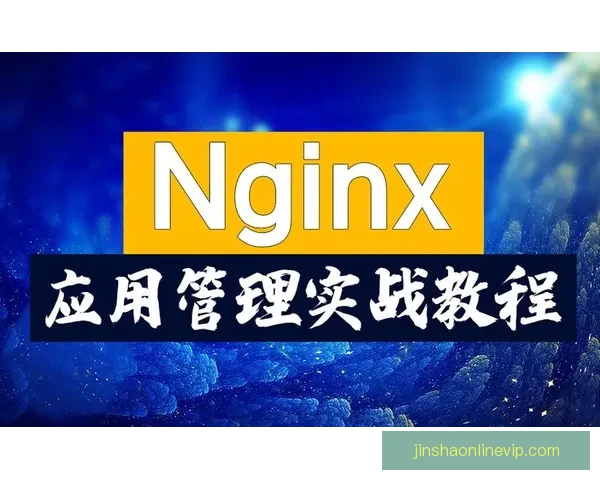 金沙APP完整使用教程详解从下载安装到高级功能操作全覆盖
