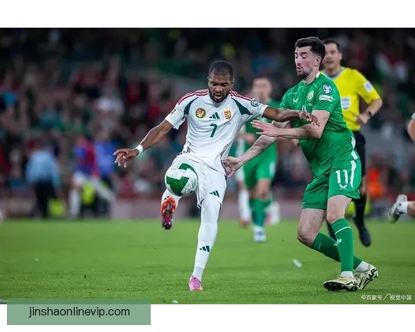 2026年世界杯主办城市全景揭秘：北美三国共迎足球盛宴